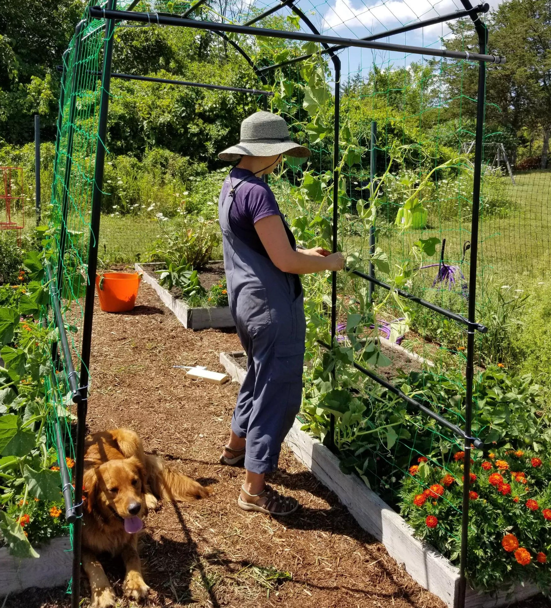 Titan Squash Tunnel
