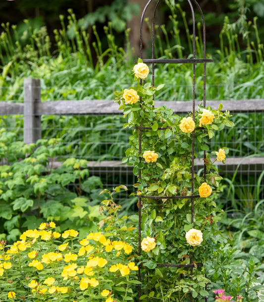 Jardin Round Obelisk, 7'