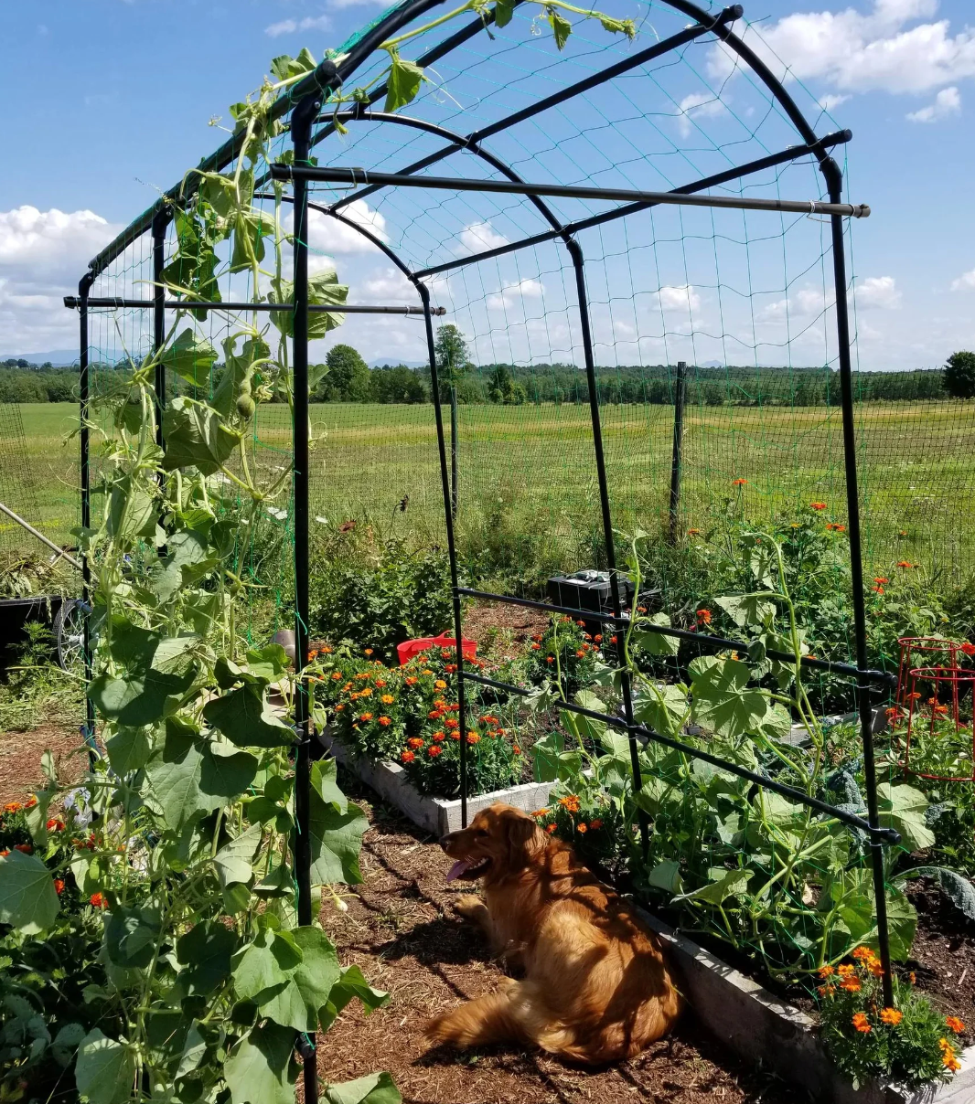 Titan Squash Tunnel