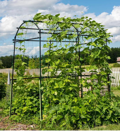 Titan Squash Tunnel
